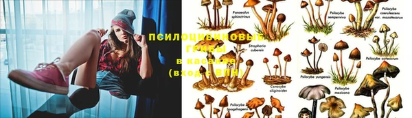 марки lsd Алексин