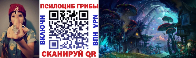 Псилоцибиновые грибы Cubensis мега маркетплейс Уфа